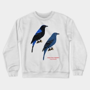 Asian Fairy-bluebird | Irena puella ⚥ Crewneck Sweatshirt